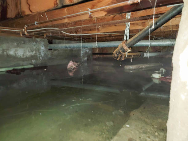 Water damage restoration process in Happy Valley, CA