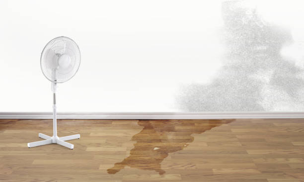 Best 24-hour water damage restoration  in Happy Valley, CA