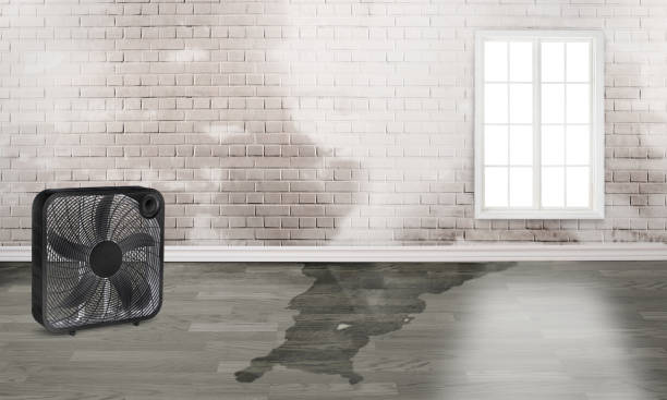 Best Professional water damage repair  in Happy Valley, CA