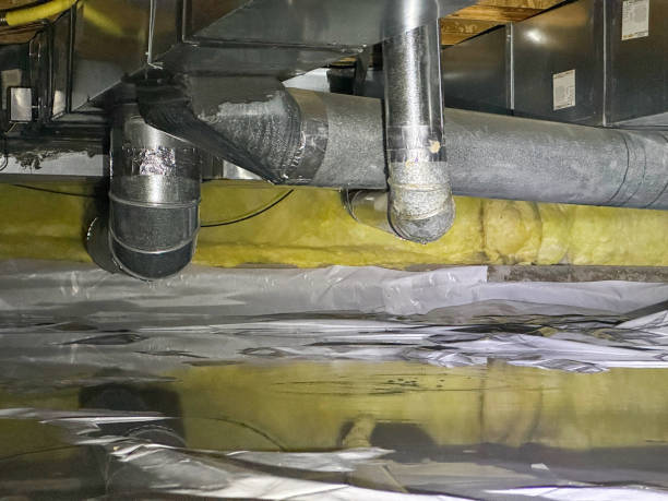Best Water damage cleanup near me  in Happy Valley, CA